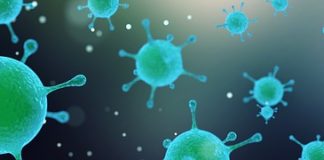 Zatrucie bakterią E-coli – objawy, ryzyka i sposoby leczenia