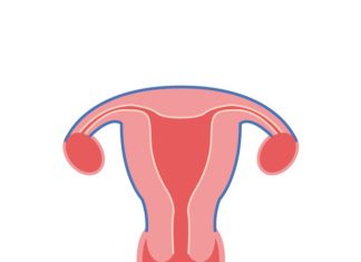 Polipy macicy – szyjkowe i endometrialne – jakie są objawy i metody leczenia ?