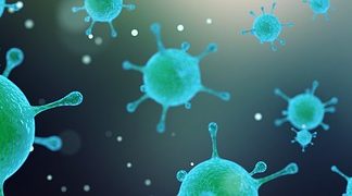 Zatrucie bakterią E-coli – objawy, ryzyka i sposoby leczenia