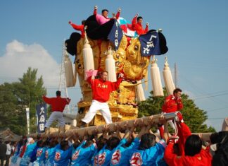 Jaki silnik ma Kubota?