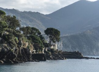 Ile kosztuje wymiana podeszwy w butach?