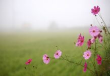 Jak pozować w stroju kąpielowym?