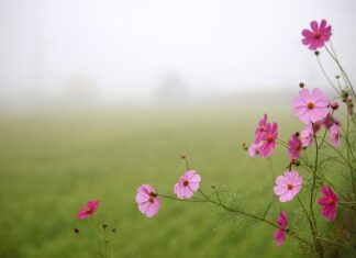 Jak pozować w stroju kąpielowym?