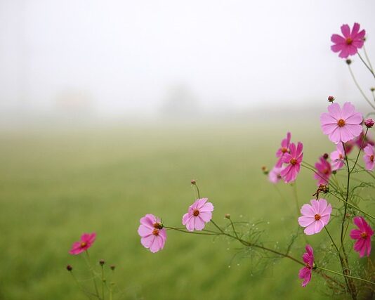 Jak pozować w stroju kąpielowym?