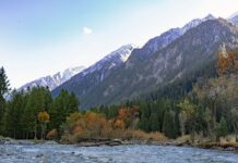 Jak Przykleić etykietę vinted?