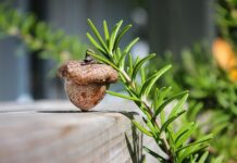 Z czego są zrobione glany?