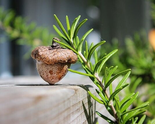 Z czego są zrobione glany?