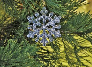 Jak ozdobić swoje etui?