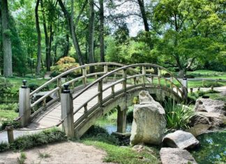 Czy warto kupić Japoński traktorek?