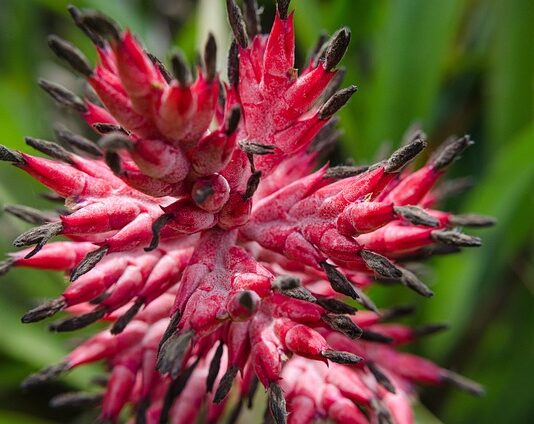 Czy wolno smarować buty wazeliną?