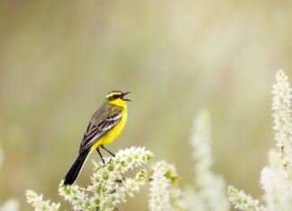 Gdzie kupić prawdziwy jeans?