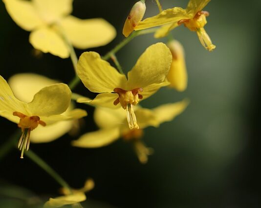 Co zrobić żeby skarpetki się Skurczyły?
