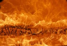 Która marka jeansów jest najlepsza?