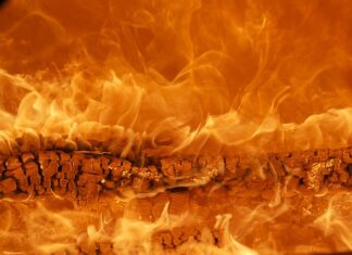 Która marka jeansów jest najlepsza?