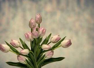 Do czego służy suchą gąbką florystyczna?