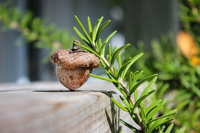 Czy glany się Pastuje? Czy glany się Pastuje?