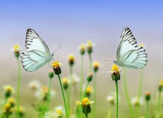 Co będzie modne na wiosnę 2023?